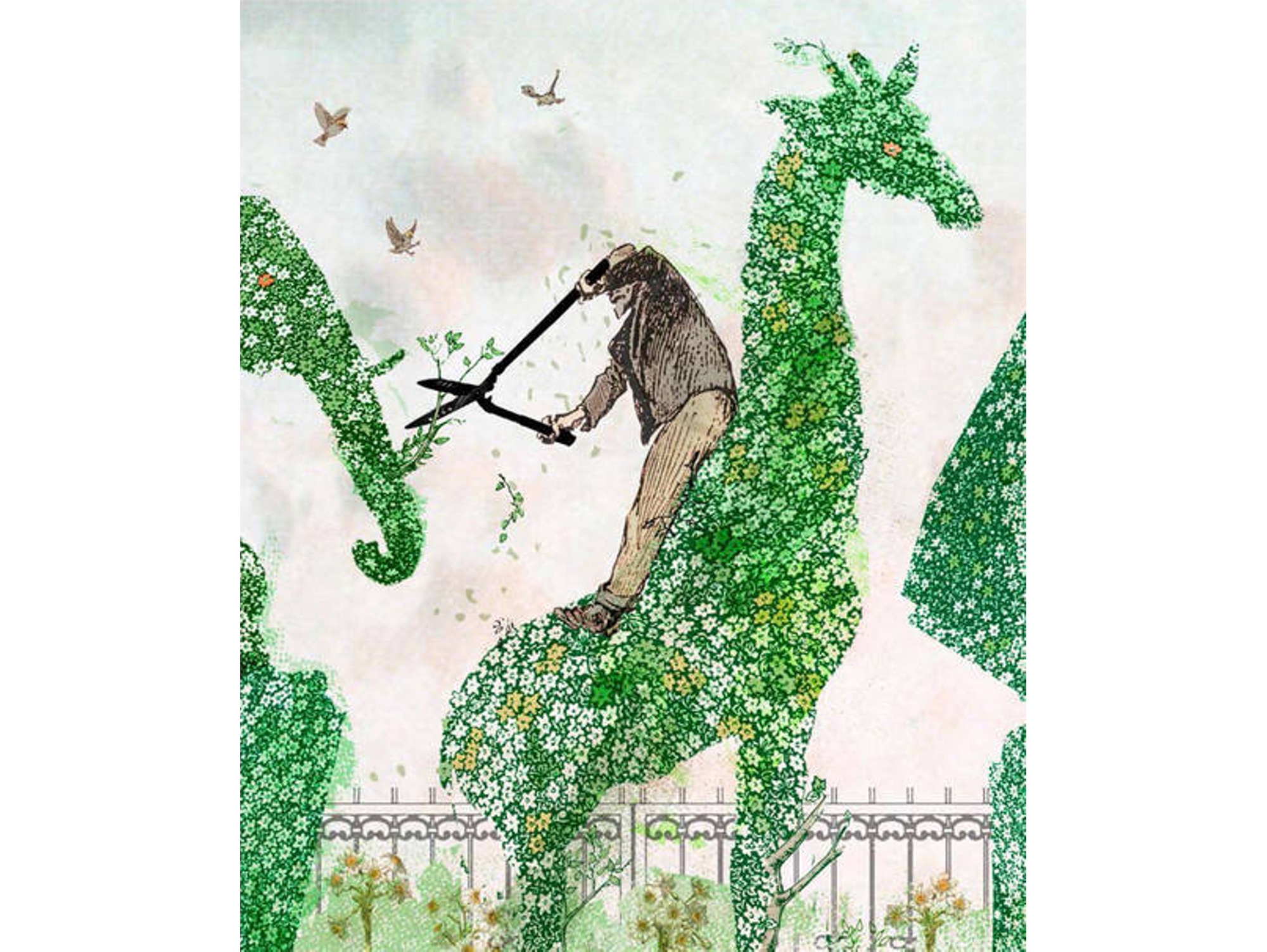 Libro Teo Muchosdedos de Catalina González Vilar (Español)