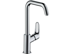 Grifo de Ducha HANSGROHE Focus 31519000
