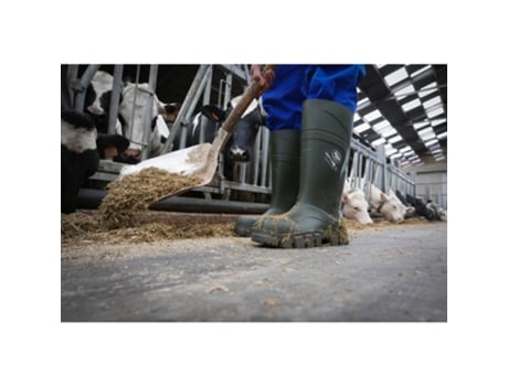 Botas BEKINA Seguridad Steplite Thermoprotec Verde (47)