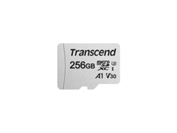 Tarjeta de Memoria TRANSCEND 300S