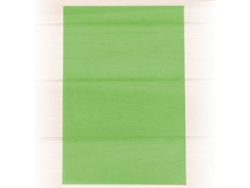 Papel Vegetal SCHOELLERSHAMMER 1837684 (A4 - Verde - 10 Hojas)