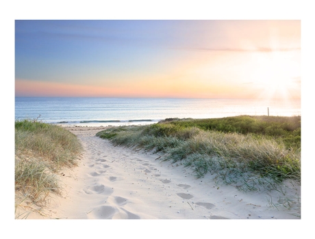 Papel de Pared ARTGEIST Promenade matinale sur la plage (300x210)