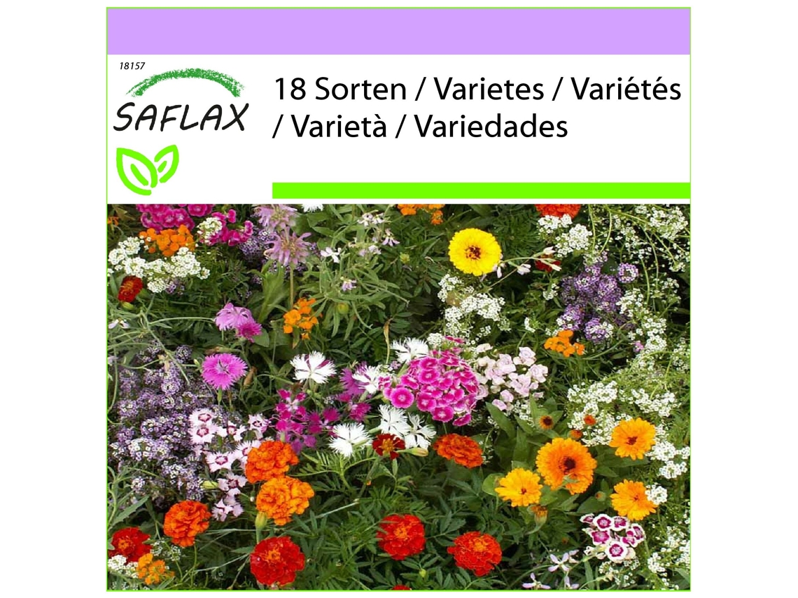 SAFLAX Aromas seductores 1000 semillas Mix