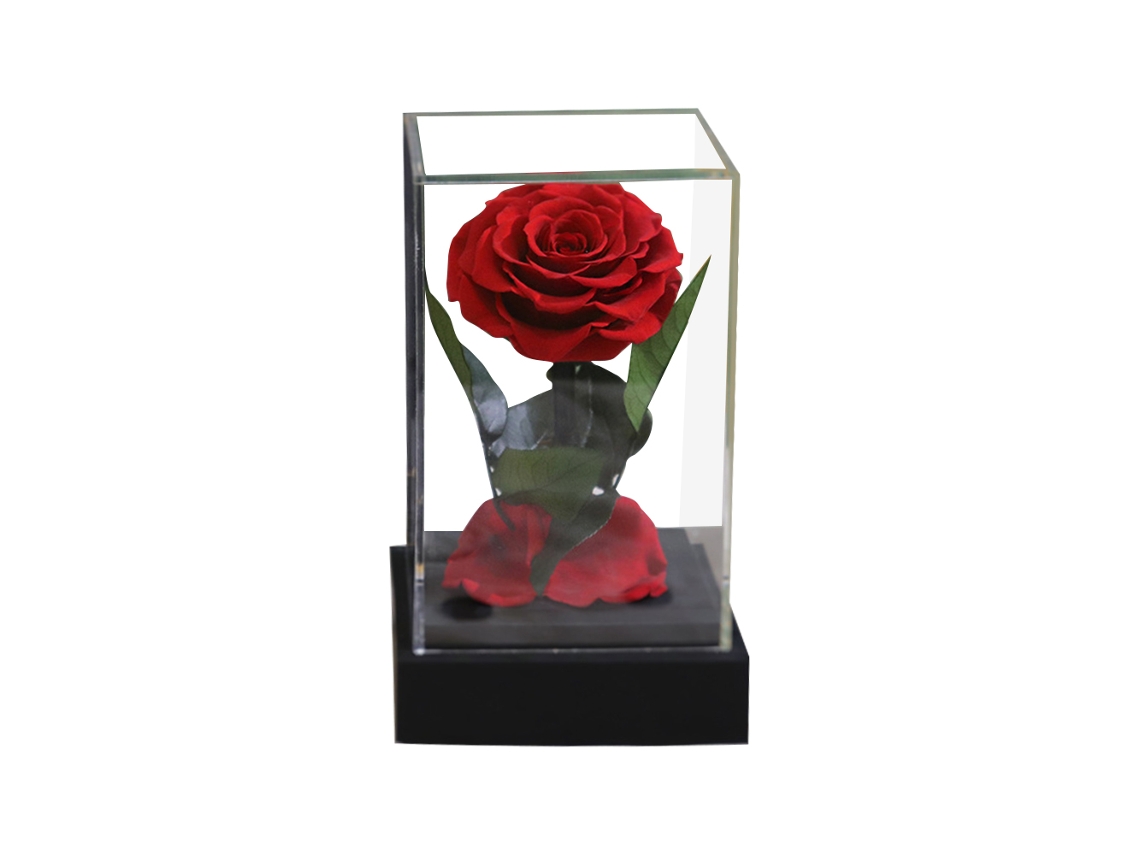 KOFIHETY Rosa Eterna Real Preservada en Acrílico Transparente para Ella - Día de San Valentín, Día de la Madre, Cumpleaños