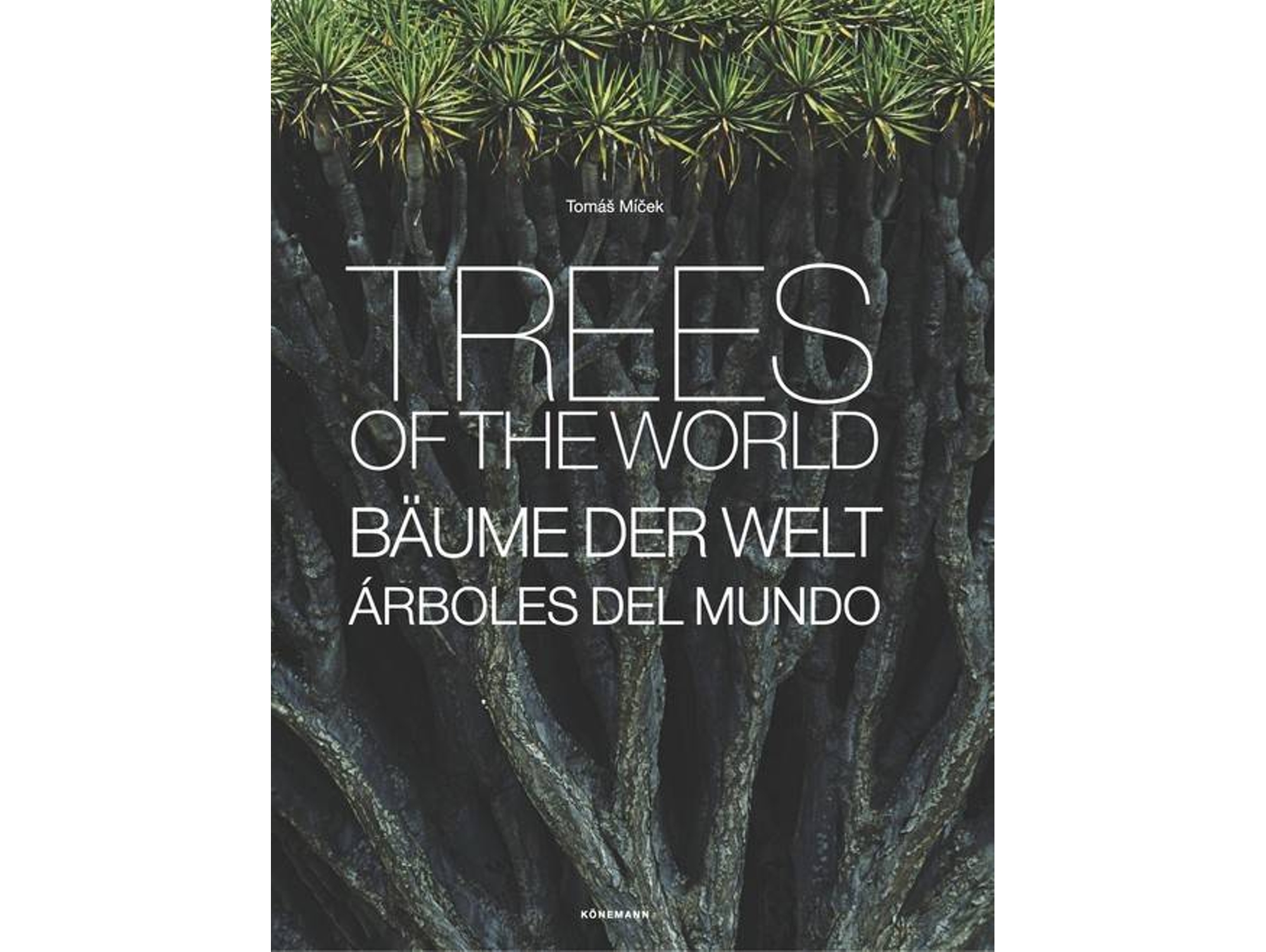 Libro Trees de Vários Autores (Inglés)