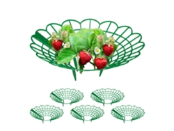 Relaxdays Soporte Para Fresas, Set De 6, Protección Contra Caracoles, Plástico, Rejilla Anti Putrefacción Y Moho, Verde