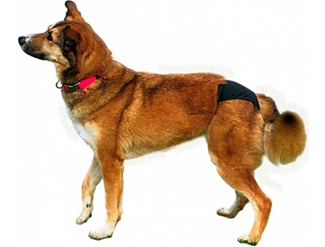 Slip TRIXIE de Lujo