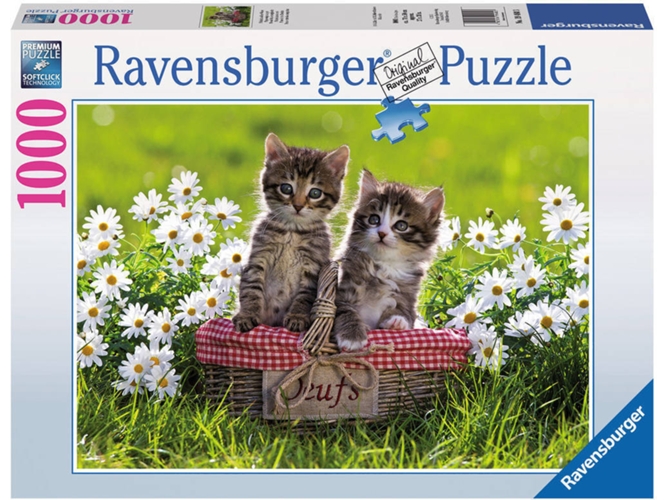 Puzzle RAVENSBURGUER 00.019.480 (1000 Piezas)