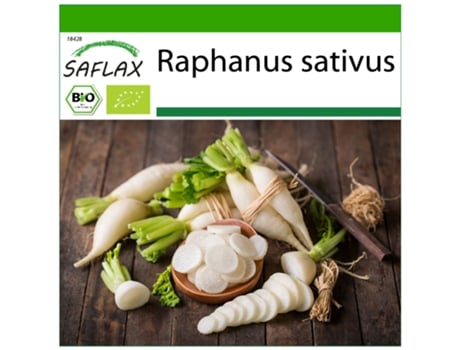 SAFLAX Ecológico Rábano Carámbano 100 semillas Con sustrato de cultivo libre de gérmenes Raphanus sativus