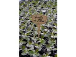 Pack 5 Etiquetas De Plantación 30 Fibra Eco - Calidad Y Versatilidad
