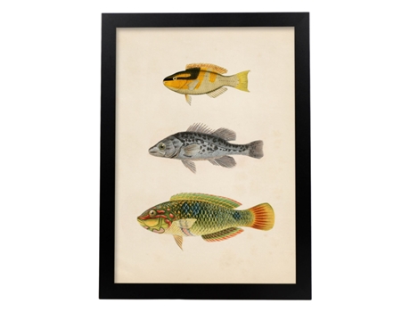 Póster NACNIC de Tres Peces Amarillo y Negro, Gris y Verde, Naranja. en , Fondo Papel Vintage.