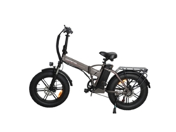 Bicicleta Eléctrica Baolujie Dz2002 Con Neumáticos Anchos Para Adultos, Batería Extraíble De 48 V Y 16 Ah.