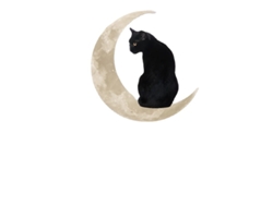 Adorno Colgante - Gato Lunar De 30 X 30 Cm