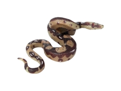 Serpiente De Goma Grande Y Realista, Juguete Para Engañar