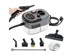 Limpieza a vapor, 2500 W de potencia, limpieza a alta temperatura, generación actualizada, 220 V, OEM de la UE