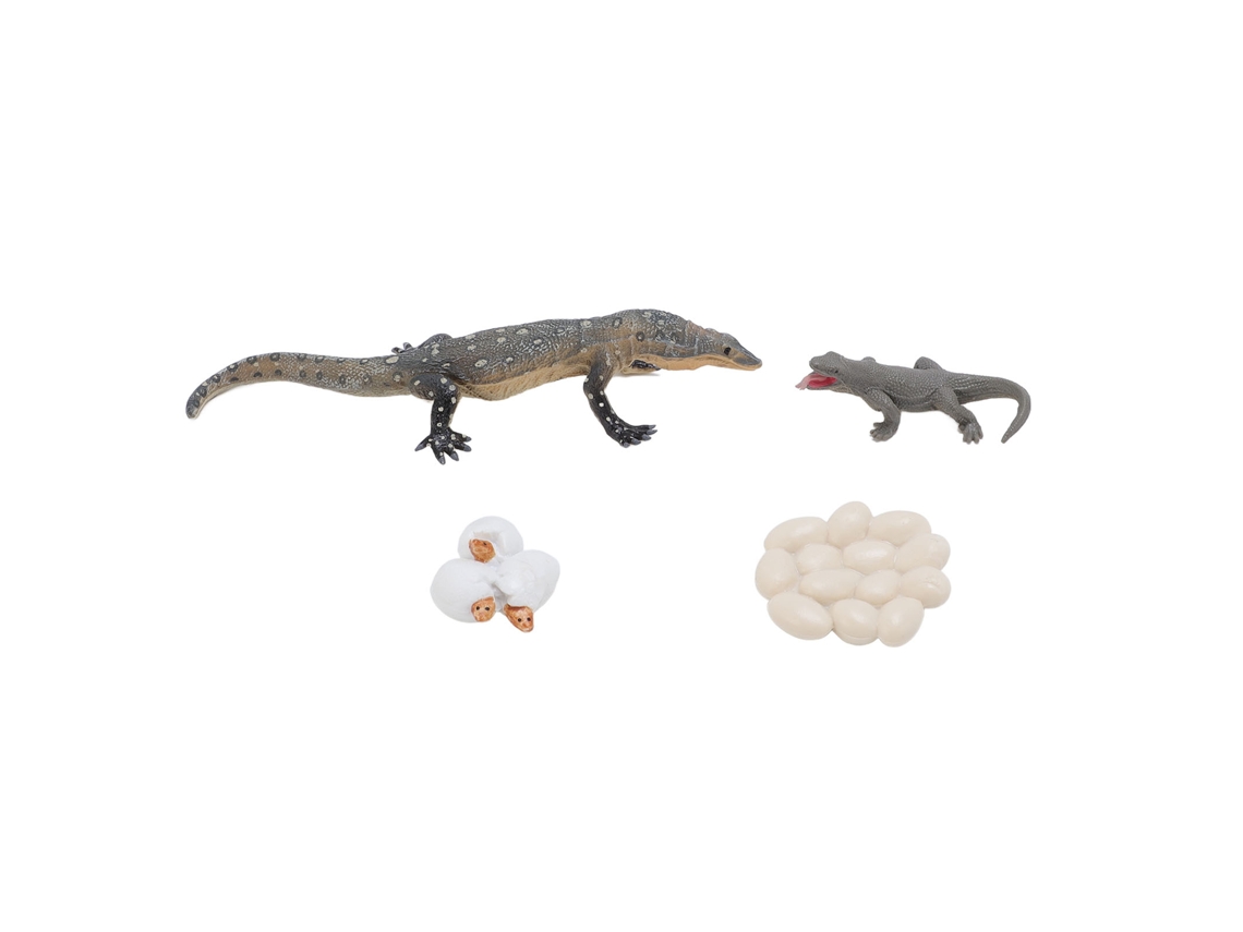 Bjww-4 Peças Brinquedo Ciclo De Vida Lagarto Pvc Realista Educativo Réptil Crescimento Animal