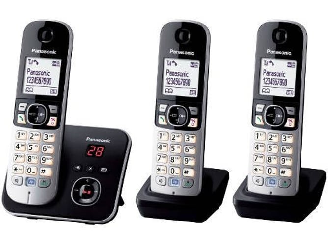 Teléfono Fijo PANASONIC KX-TG6823GB Plata