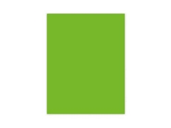 Cartolina Liderpapel 50X65 Cm 180G/M2 Verde Pack de 25 Unidades