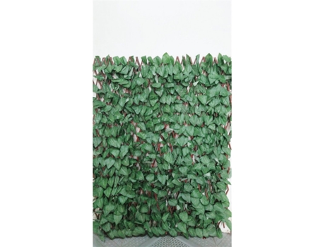 Celosia Extensible de Mimbre - Hoja Arce