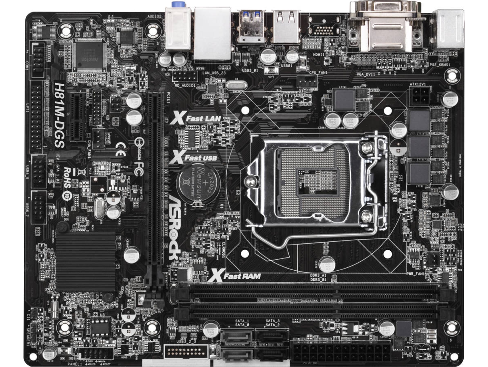 Placa Base ASROCK H81M-DGS (Socket LGA1150 - Intel H81 - Micro-ATX)