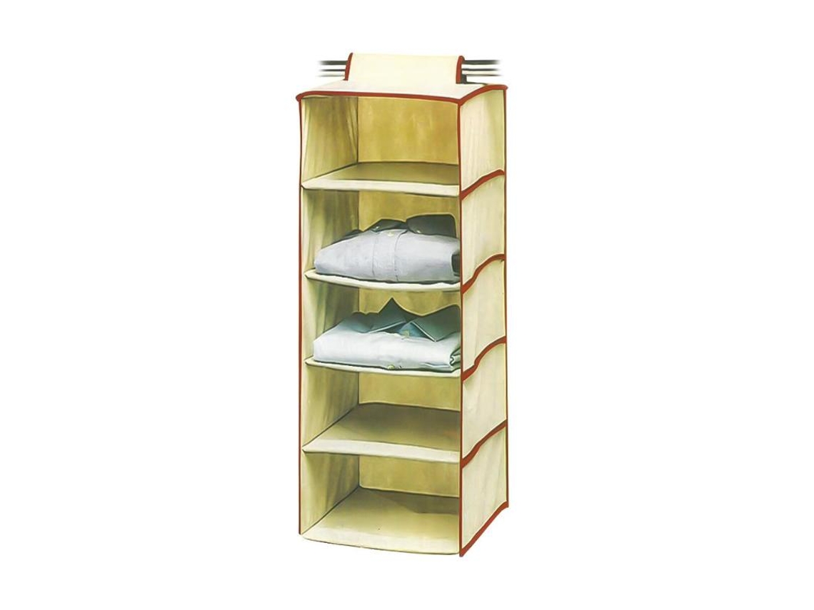 Organizador ropa 5 estantes 30x30x100