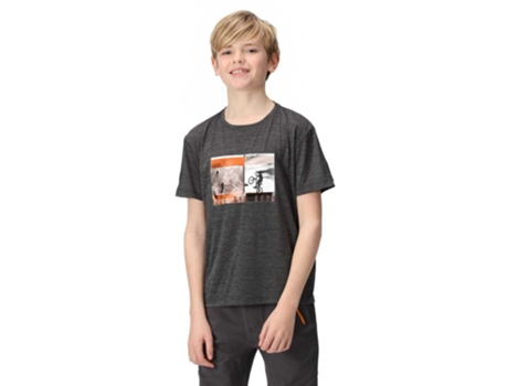 Camiseta Unisex REGATTA Findley Gris (15/16 Años)