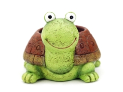 Maceta verde con suculentas y diseño de tortuga de dibujos animados (planta no incluida)