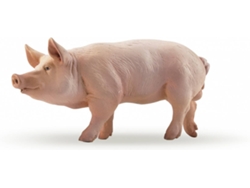 Figura PAPO Porco
