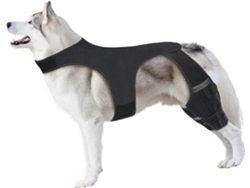 Rodillera Ajustable De Neopreno Transpirable Para Perros Mayores Activos Después De Una Cirugía.