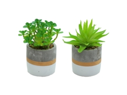 Mini suculentas simuladas en maceta, adornos creativos de moda, plantas artificiales, 2 uds. NEVEANCE