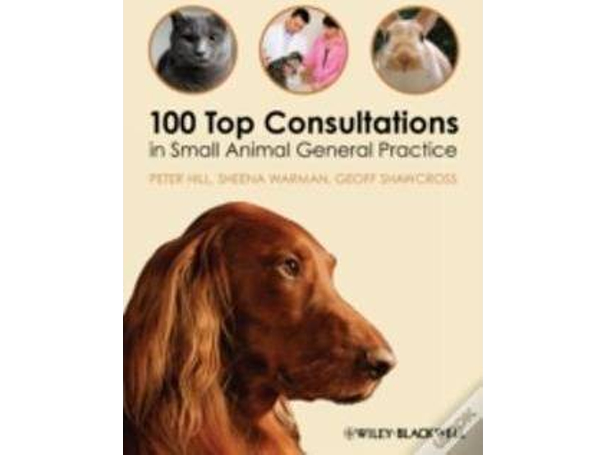 Libro 100 Top Consultations in Small Animal General Practice de Peter Hill, Sheena Warman et al. (Inglés)