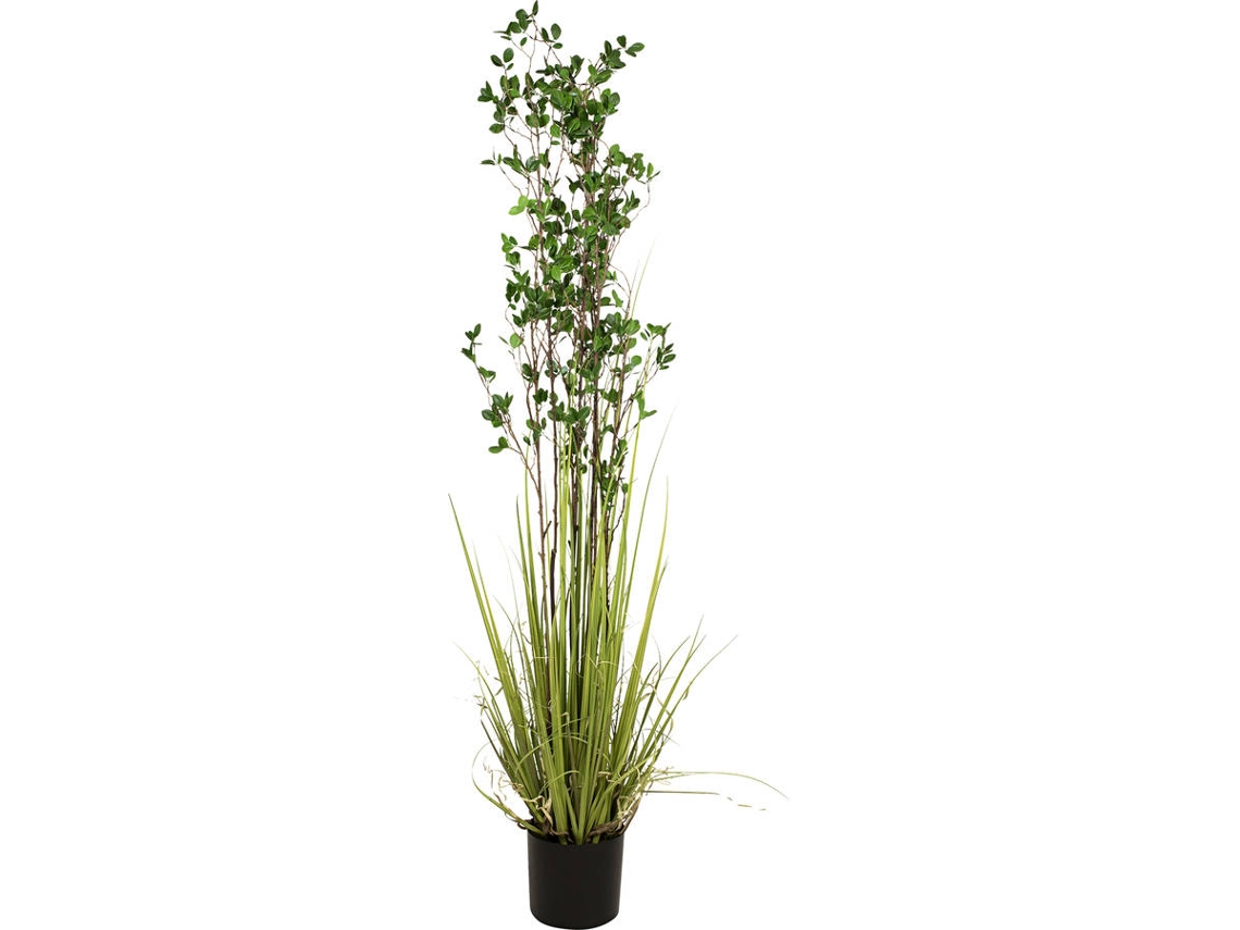 Planta Artificial EUROPALMS Evergreen Shrub (Verde - 182 cm)
