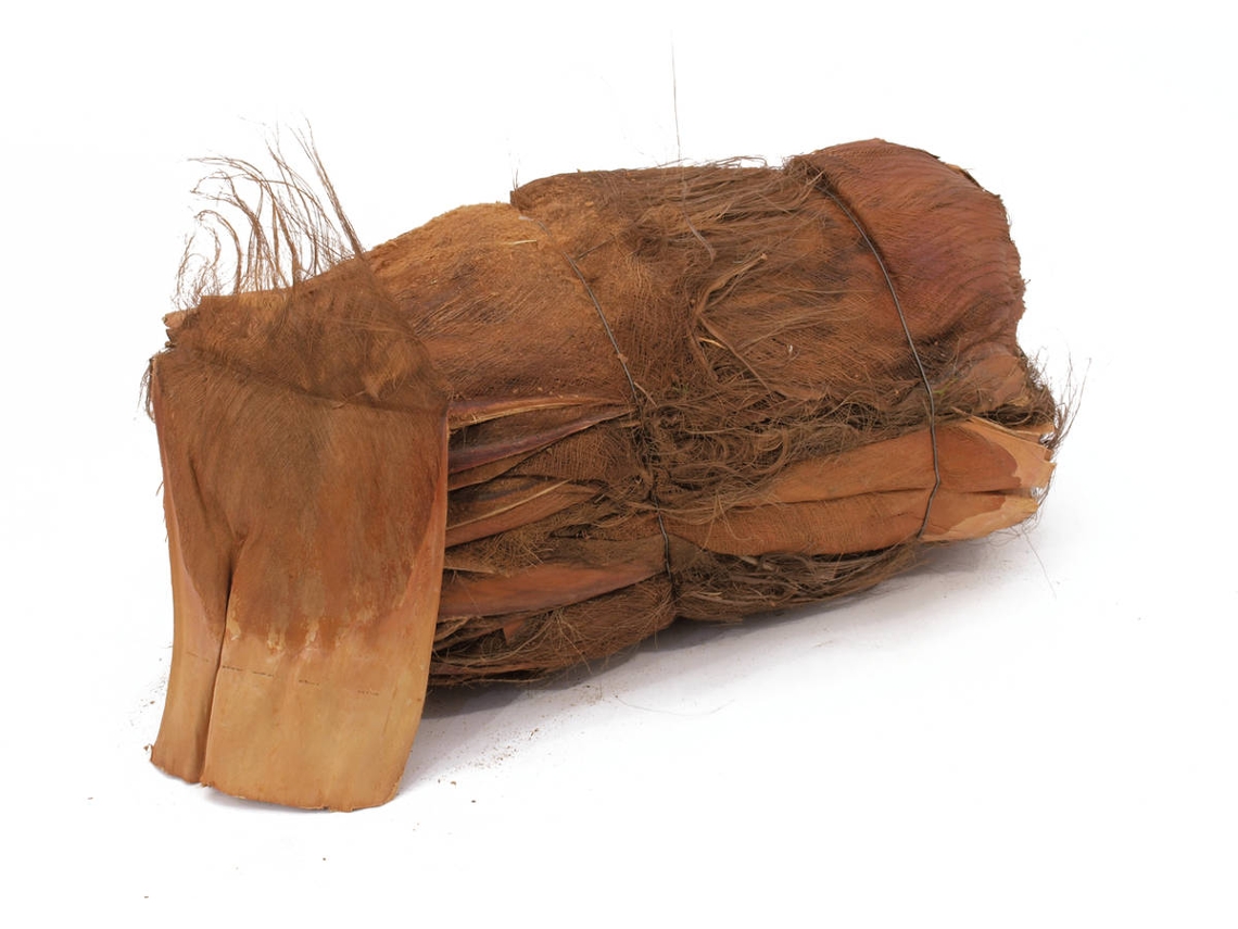 Planta Artificial EUROPALMS Coconut-Bark (Marrón - 1 kg)