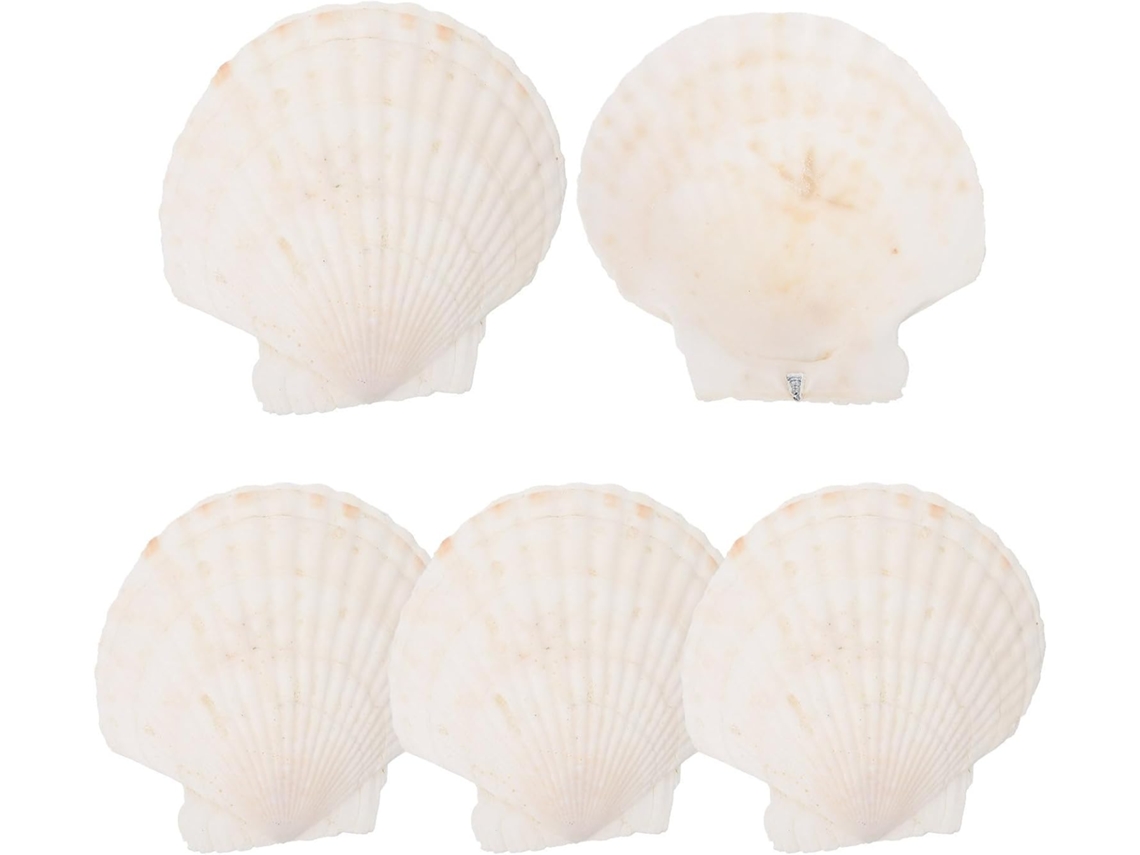 Juego 5 Elegantes Bandejas Blancas Joyas Forma Concha Marina Bordes Lisos Almacenamiento Anillos Elegante