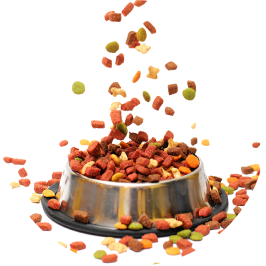 Piensos, Snacks y Suplementos para Perros