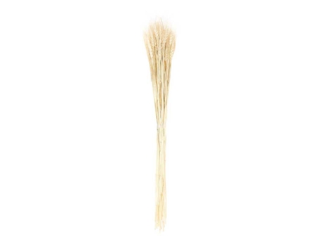 Gavillas de Trigo Seco Natural 70 cm