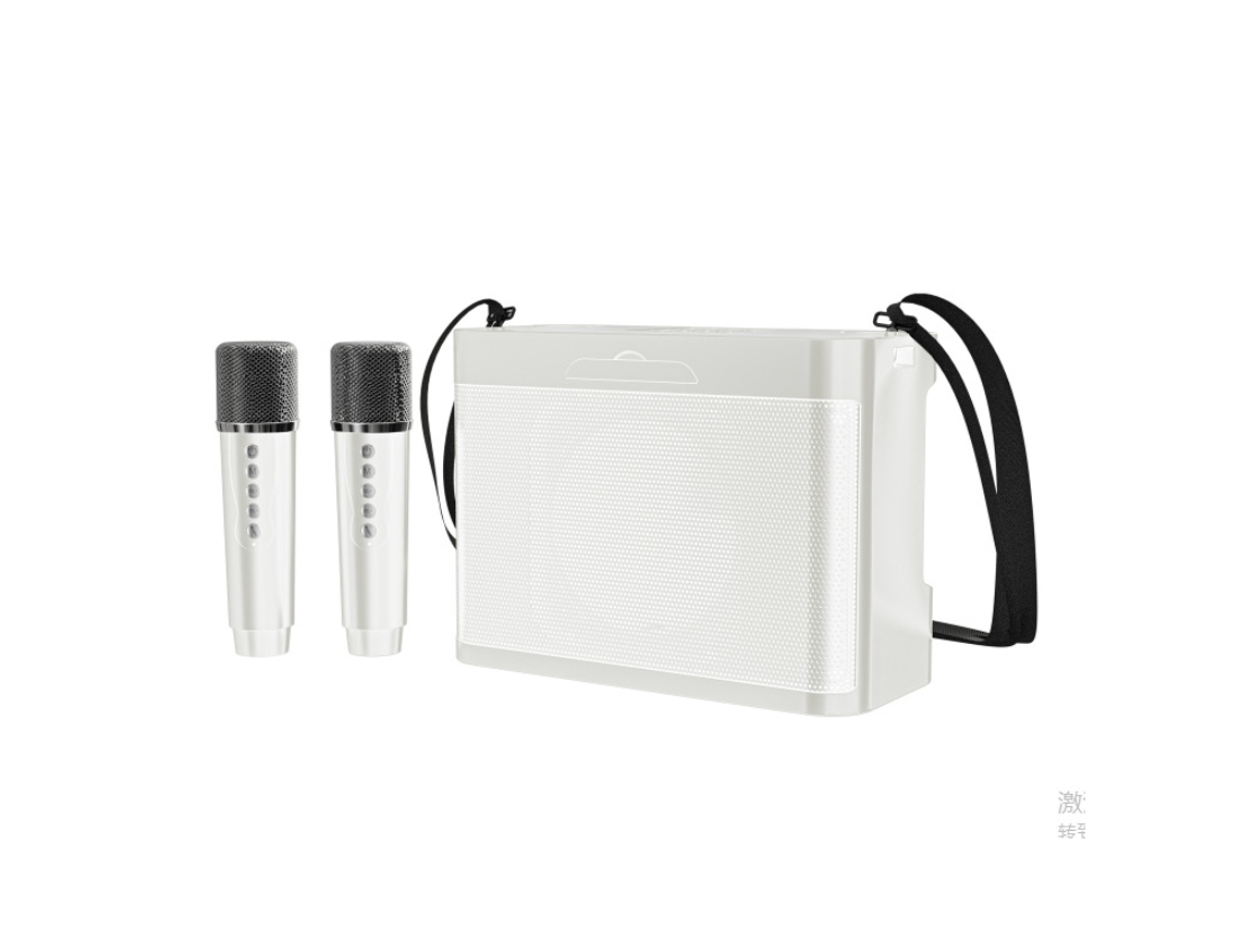 Altavoz Bluetooth Portátil Inalámbrico De Alta Potencia De 20 W Con Doble Micrófono (blanco)
