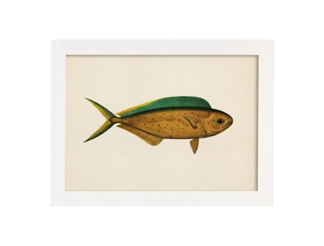Póster NACNIC de Pez Marron Verde y Amarillo en , Fondo Papel Vintage.