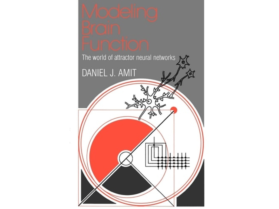 Libro de Daniel J. Amit ( Inglés )