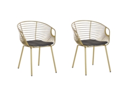 Cadeiras elegantes com visual exclusivo BELIANI Hoback de Aço Dourado 60x56x79