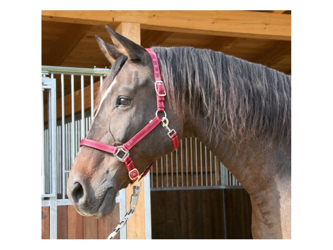Cabezada completa 2 ajustes Kerbl mustang