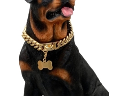 2026-collar De Perro Cadena Cubana Dorada Resistente, Acero Inoxidable, Hebilla Segura Y Placa De Identificación Hueso, 22 Pulgadas