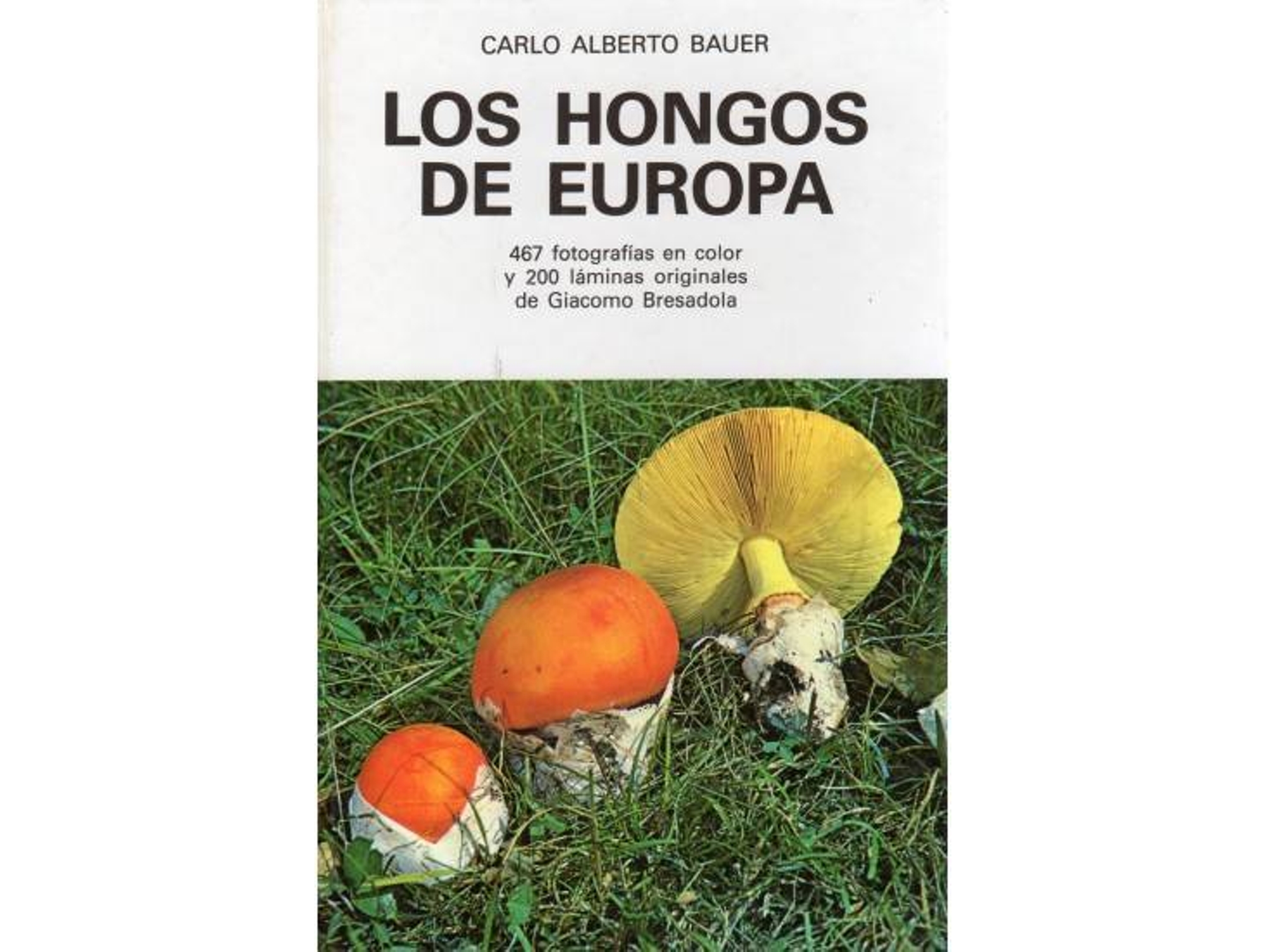 Libro Hongos De Europa de Carlo Alberto Bauer (Español)