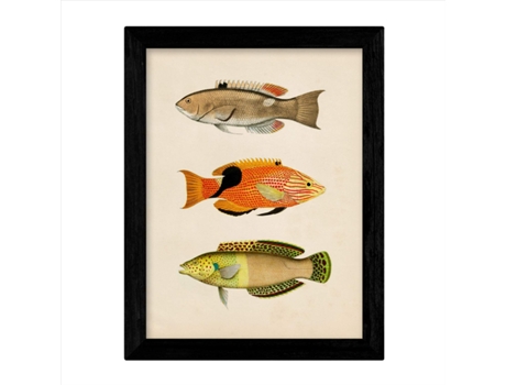Set De 4 Láminas De Peces Coloridos Efecto Vintage. Composicion De 11 Peces Diferentes, Fondo Papel Antiguo Vintage Sin Marco