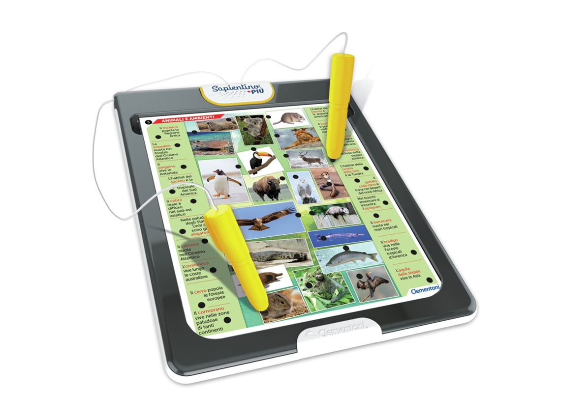 Jogos Didáticos CLEMENTONI 8005125167289 (7 anos)