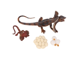 Walshlxq Juego de 4 piezas de juguetes educativos para niños: modelo de animal simulado del ciclo de crecimiento de un lagarto.