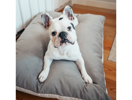 Cama para Perros THE HAPPY NEST Gris (65 x 85 cm)