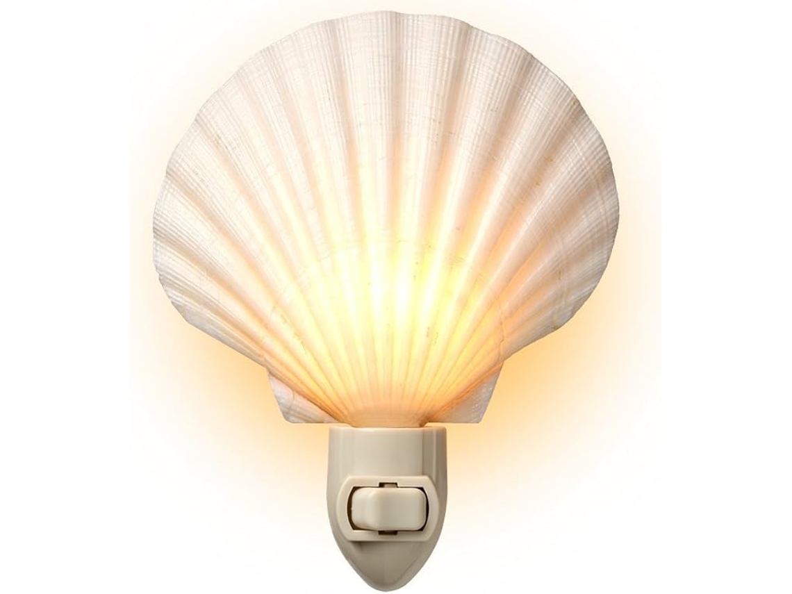 Luz De Noche De Playa Con Concha Marina Auténtica, Natural, Perfecta Para Decorar El Hogar (blanca)