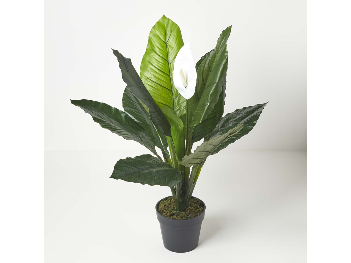 Homescapes White Peace Lily In Pot, 90 Cm Tall