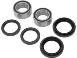 Kit De Bujes Para Brazo De Control Abs – 48 Piezas Para Modelos Medianos 800 (2013–2014) Número De Pieza